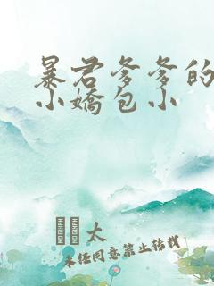 暴君爹爹的团宠小娇包小