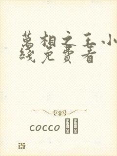 万相之王小说在线免费看