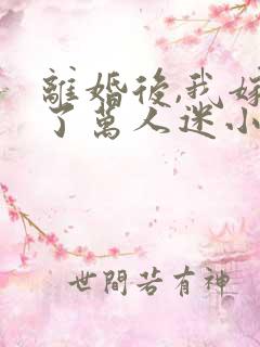 离婚后,我嫁给了万人迷小叔