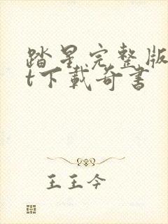 踏星完整版txt下载奇书