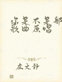 你是不是那个人歌曲原唱