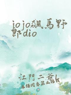 jojo飙马野郎dio