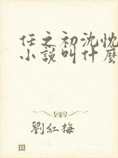 任之初沈忱原著小说叫什么名字