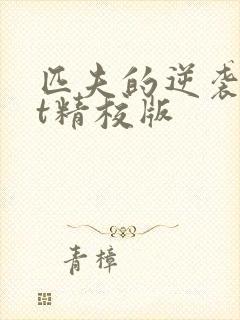 匹夫的逆袭txt精校版