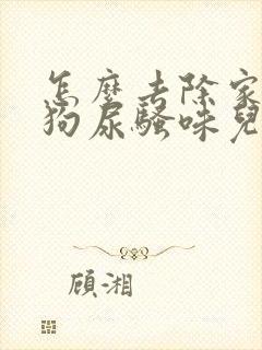 怎么去除家里的狗尿骚味儿