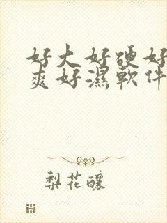 好大好硬好紧好爽好湿软件