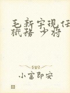 毛新宇现任什么职务 少将