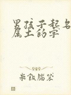 男孩子起名五行属土的字