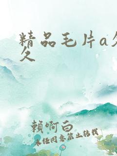 精品毛片a久久久