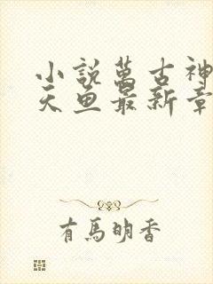 小说万古神帝飞天鱼最新章节目录