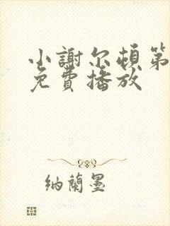 小谢尔顿第五季免费播放