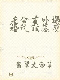 老公有外遇要离婚我该怎么办