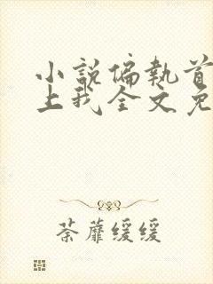 小说偏执首席缠上我全文免费阅读