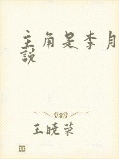 主角是李月的小说