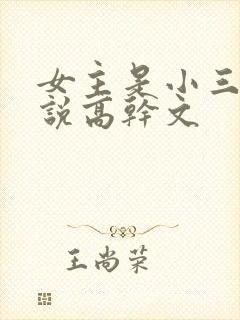 女主是小三的小说高干文