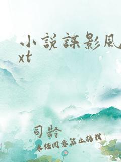 小说谍影风云txt