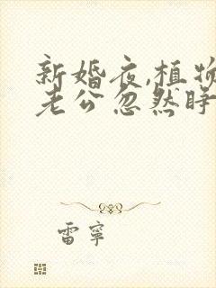 新婚夜,植物人老公忽然睁开眼txt下载