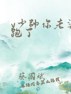 y少帅你老婆又跑了
