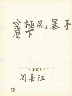 究极风暴手游怎么下