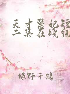 天才医妃短剧第二集在线观看