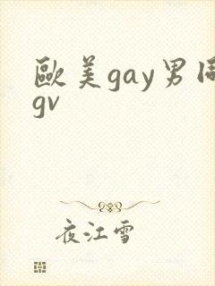 欧美gay男同gv