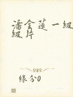 潘金莲一级片一级片