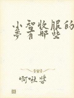 小智收服的宝可梦有哪些