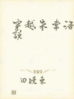 穿越朱常洛的小说