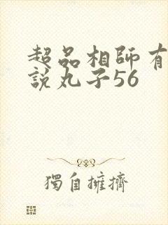 超品相师有声小说丸子56