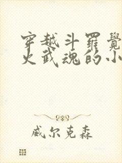 穿越斗罗觉醒异火武魂的小说