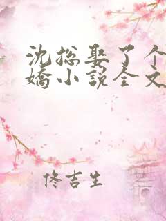 沈总娶了个小娇娇小说全文免费阅读