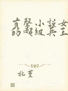 有声小说女总裁的超级兵王