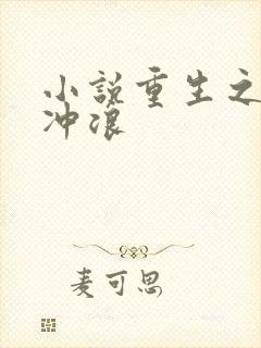 小说重生之我要冲浪