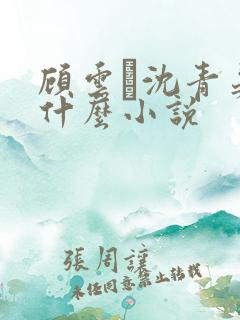 顾云玦沈青晏是什么小说