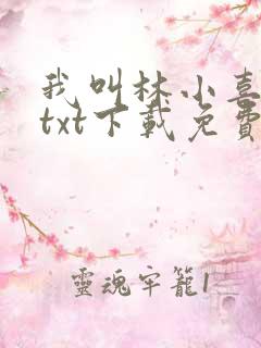 我叫林小喜小说txt下载免费