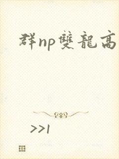 群np双龙高h