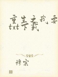 重生之我要冲浪txt下载