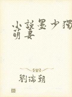 小说墨少独宠小萌妻