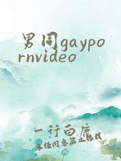 男同gaypornvideo