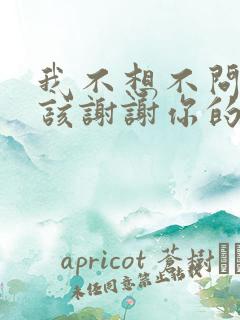 我不想不问不应该谢谢你的爱是什么歌