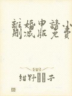 离婚申请小说无删减版免费阅读