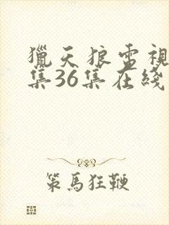 猎天狼电视剧全集36集在线观看免费高清