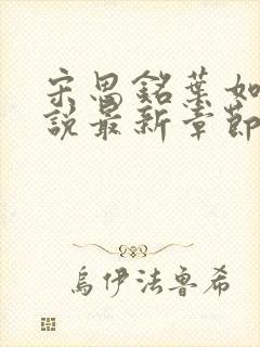 宋思铭叶如云小说最新章节免费阅读