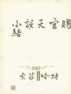 小说天官赐福完结