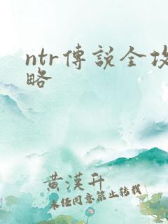 ntr传说全攻略