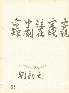 命中注定要爱你短剧在线观看