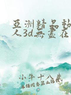 亚洲精品动漫成人3d无尽在线