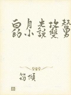 白月光攻替身受的小说双男主