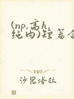 (np,高h,纯肉)短篇合集