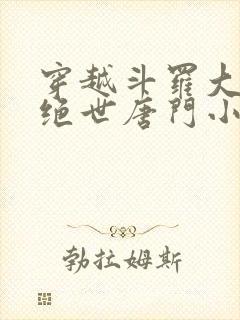 穿越斗罗大陆2绝世唐门小说